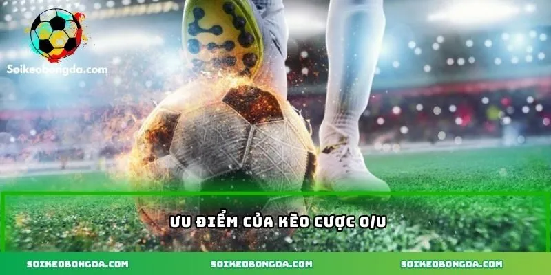 Kèo O/U Và Các Chiến Thuật Cá Cược Đặc Biệt Bạn Nên Biết 2 Kèo O/U Và Các Chiến Thuật Cá Cược Đặc Biệt Bạn Nên Biết