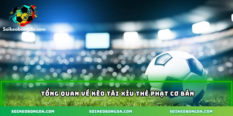 Kèo Tài Xỉu Thẻ Phạt – Vén Màn Chiến Thuật Đọc Kèo Hay 1 2-tong-quan-ve-keo-tai-xiu-the-phat-co-ban