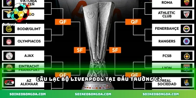 imgi 5 111 4 cau lac bo liverpool tai dau truong c2