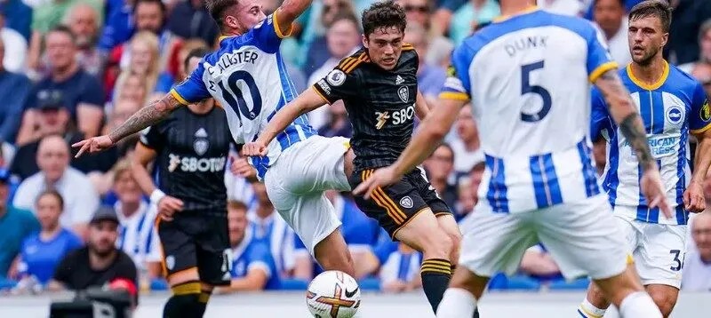 Soi kèo Brighton vs Leeds United vòng 10 giải Ngoại hạng Anh 2 soi-keo-brighton-vs-leeds-united-21h-01-11-2