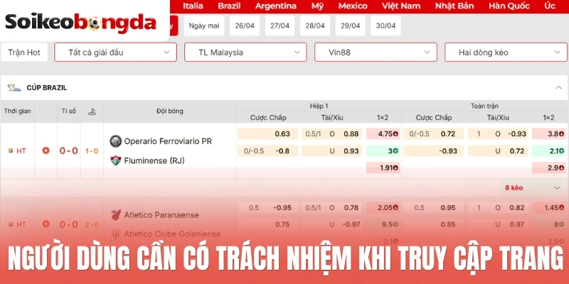 Điều Khoản Điều Kiện - Nguyên Tắc Truy Cập Và Dùng Dữ Liệu 3 Người dùng cần có trách nhiệm khi truy cập trang
