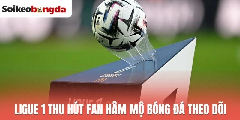 Ligue 1 là giải đấu được nhiều người quan tâm theo dõi tỷ lệ kèo