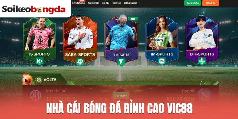 Nhà cái Vic88 cung cấp tỷ lệ kèo bóng đá hấp dẫn